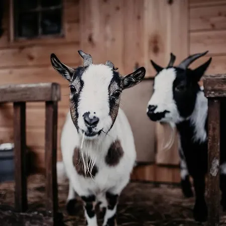 Maisonnette De Charme Les Jardins De Lou * Boussac (Aveyron)