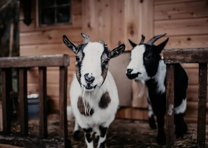 Maisonnette De Charme Les Jardins De Lou * Boussac (Aveyron)
